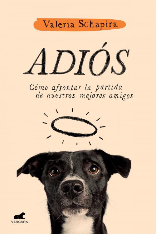 Cover of the book Adiós by Valeria Schapira, Penguin Random House Grupo Editorial Argentina