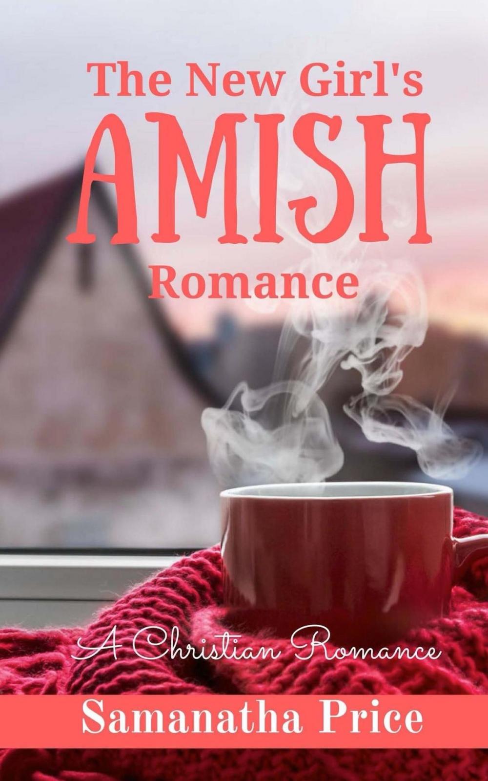 Big bigCover of The New Girl's Amish Romance
