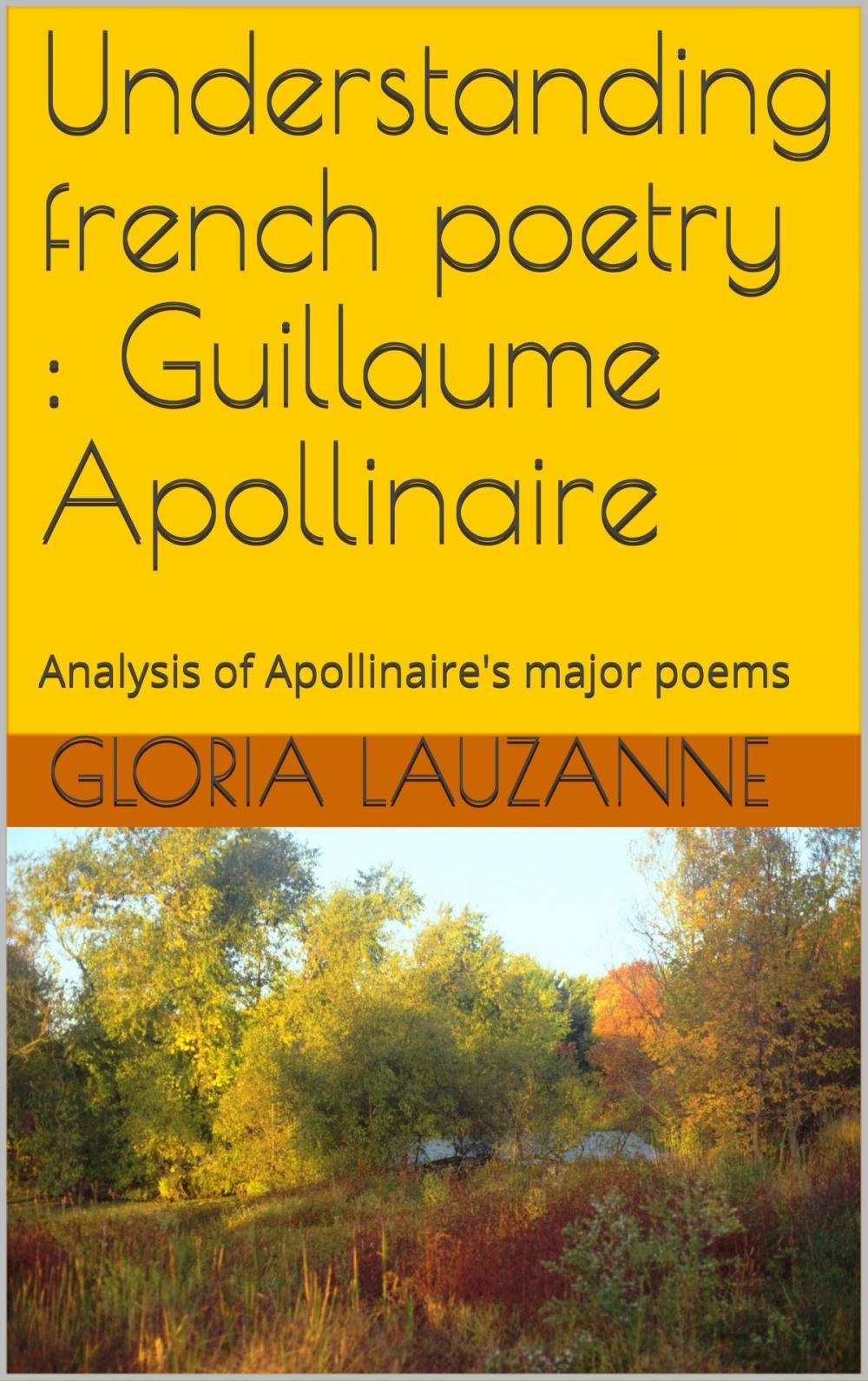 Big bigCover of Understanding french poetry : Guillaume Apollinaire