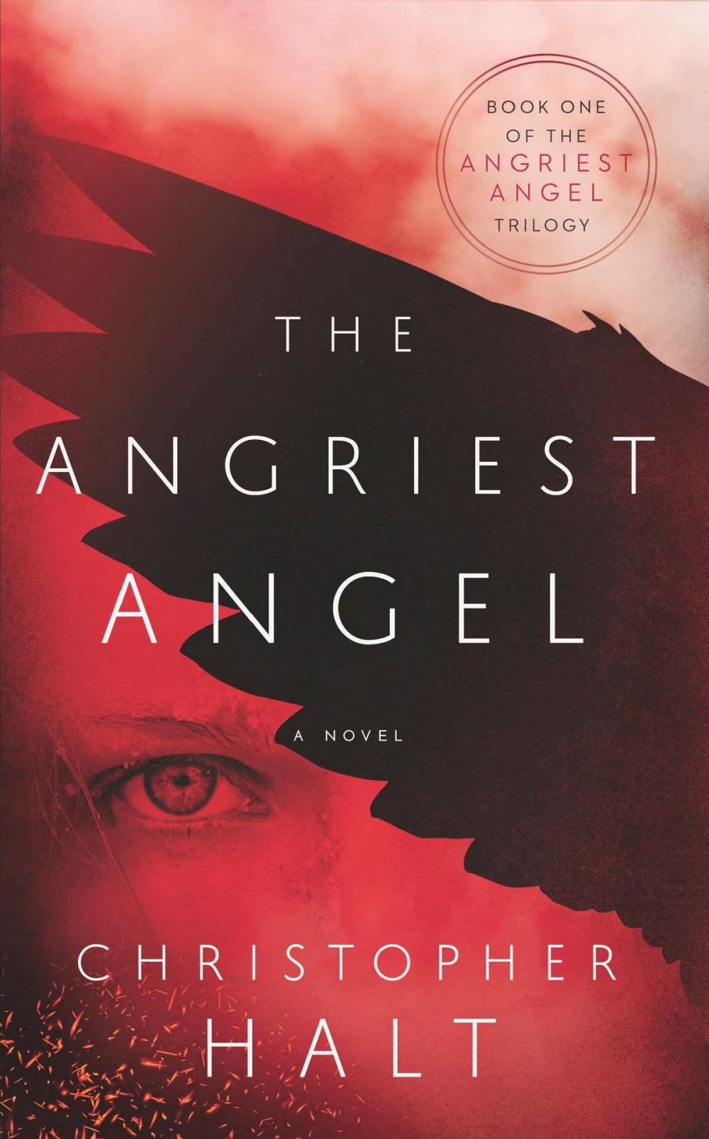 Big bigCover of The Angriest Angel