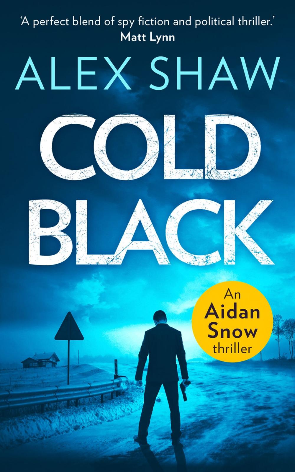 Big bigCover of Cold Black (An Aidan Snow SAS Thriller, Book 2)