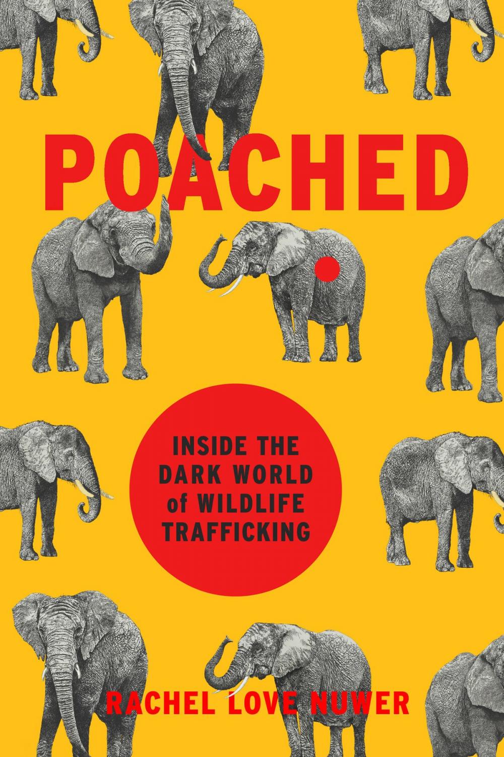 Big bigCover of Poached