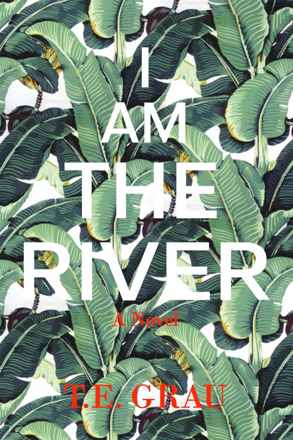 Big bigCover of I Am The River