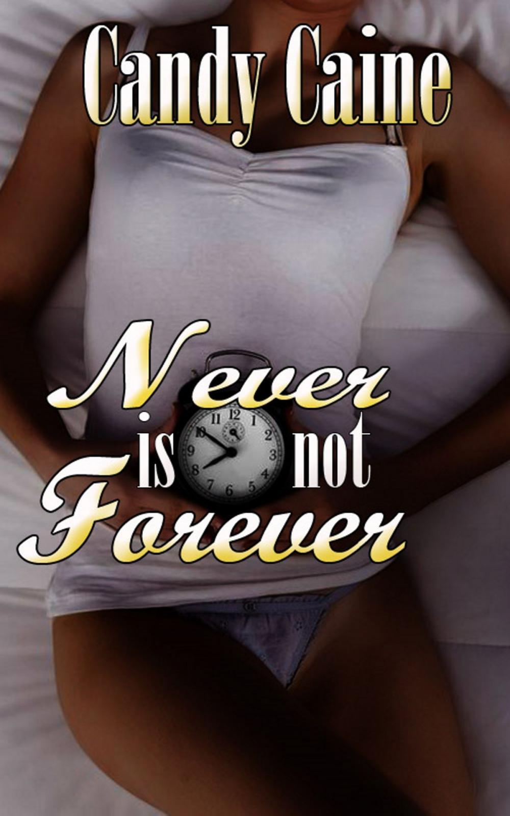 Big bigCover of Never is Not Forever