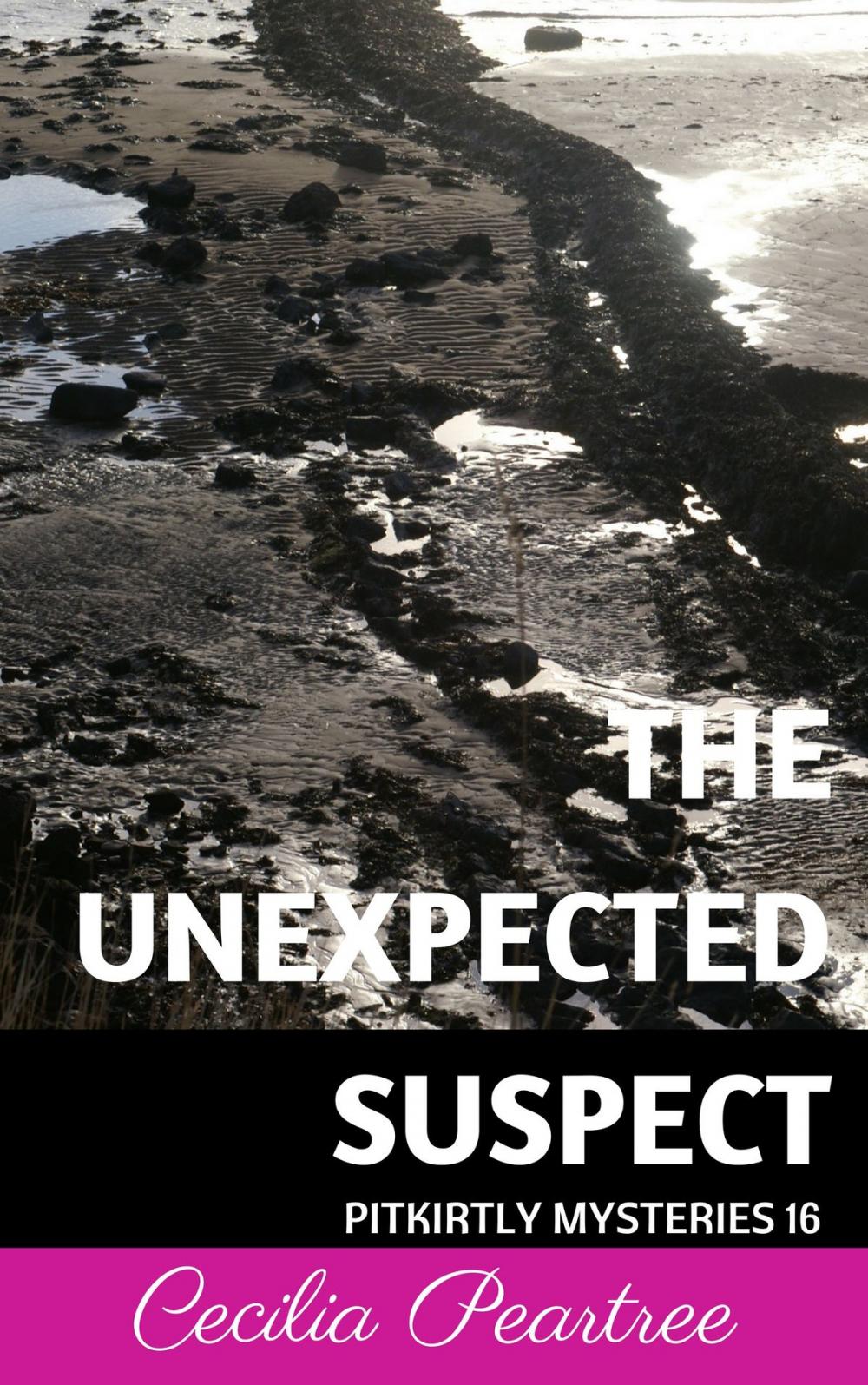 Big bigCover of The Unexpected Suspect