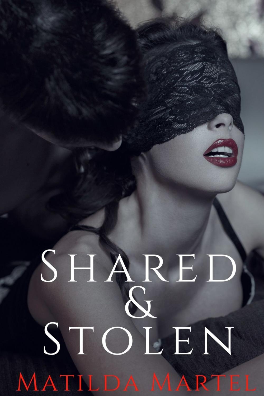 Big bigCover of Shared & Stolen