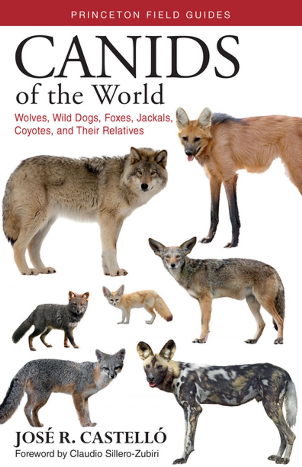 Big bigCover of Canids of the World