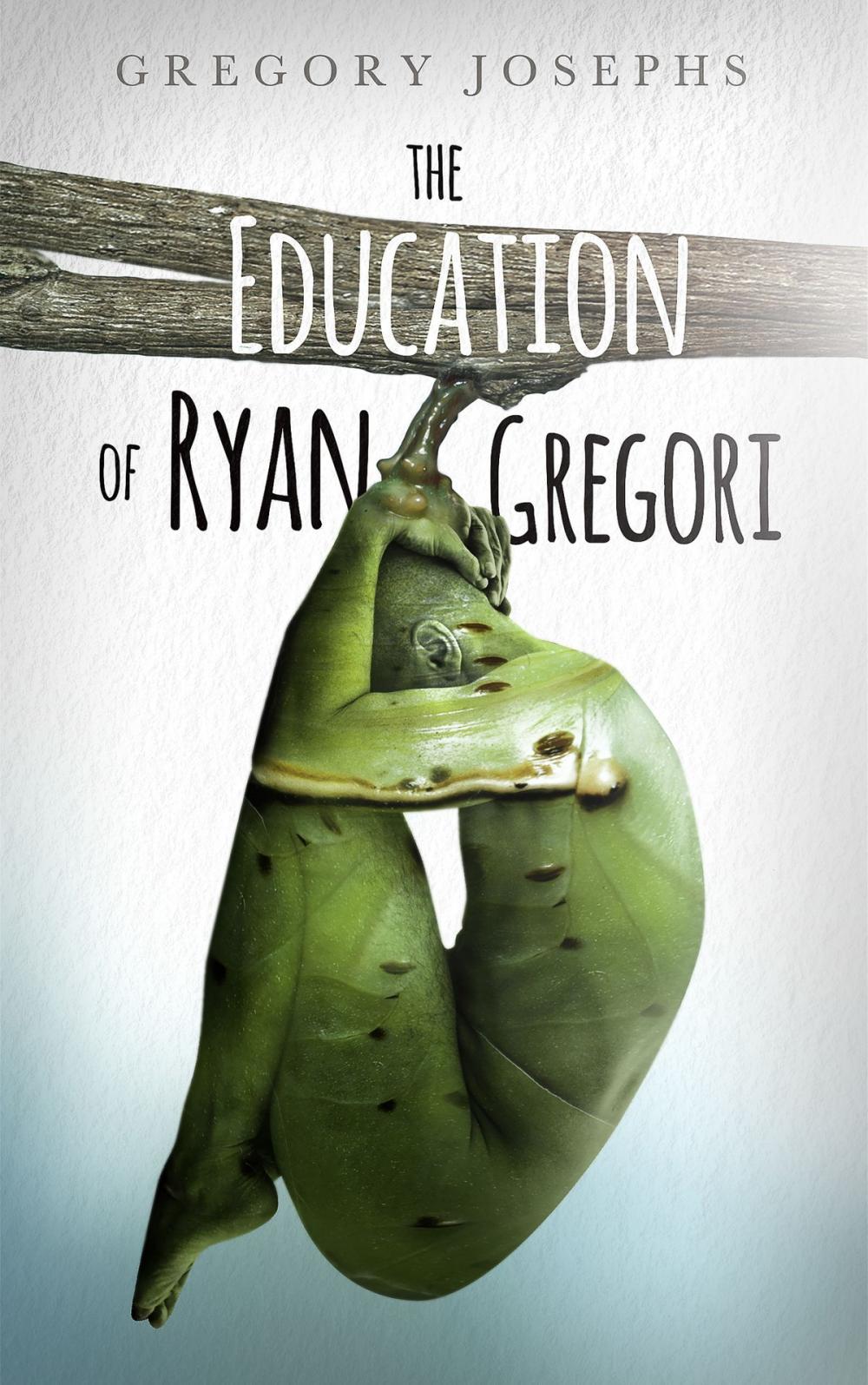 Big bigCover of The Education of Ryan Gregori