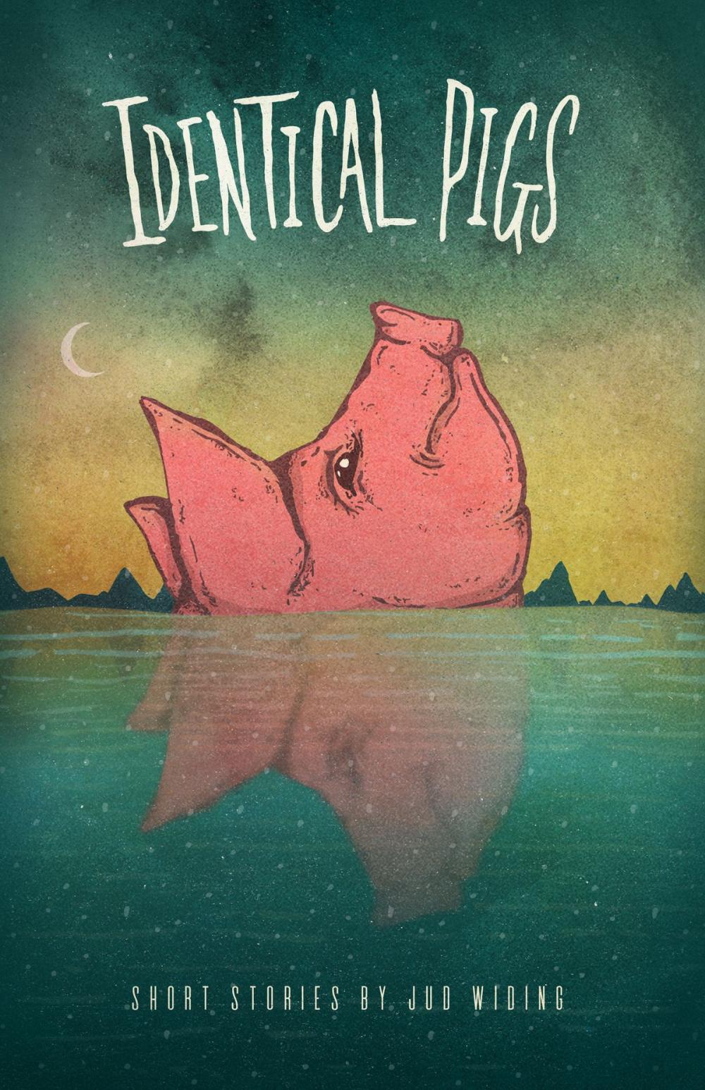 Big bigCover of Identical Pigs