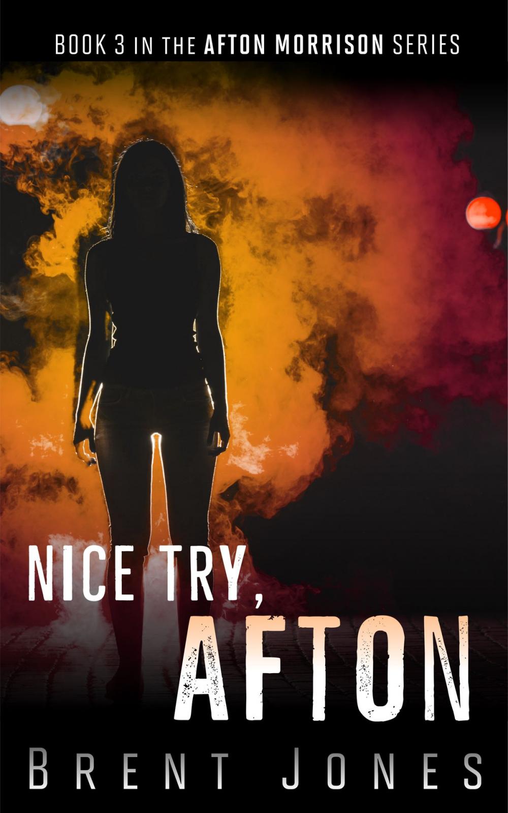 Big bigCover of Nice Try, Afton (Afton Morrison, #3)