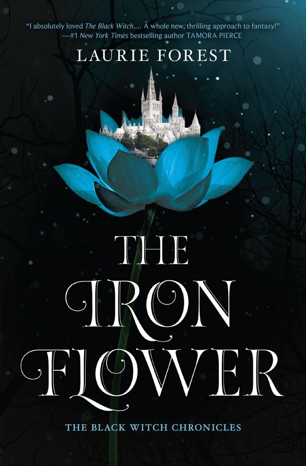 Big bigCover of The Iron Flower