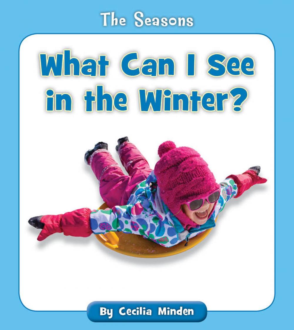 Big bigCover of What Can I See in the Winter?