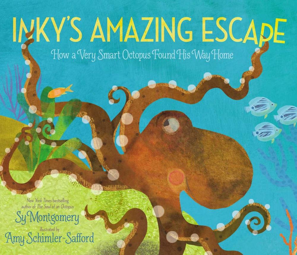 Big bigCover of Inky's Amazing Escape