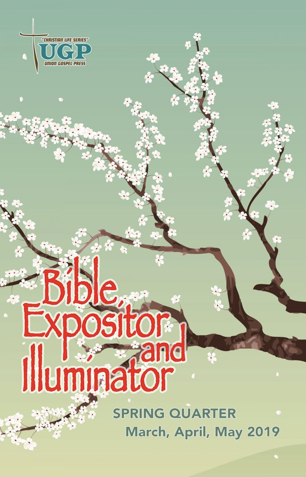 Big bigCover of Bible Expositor and Illuminator