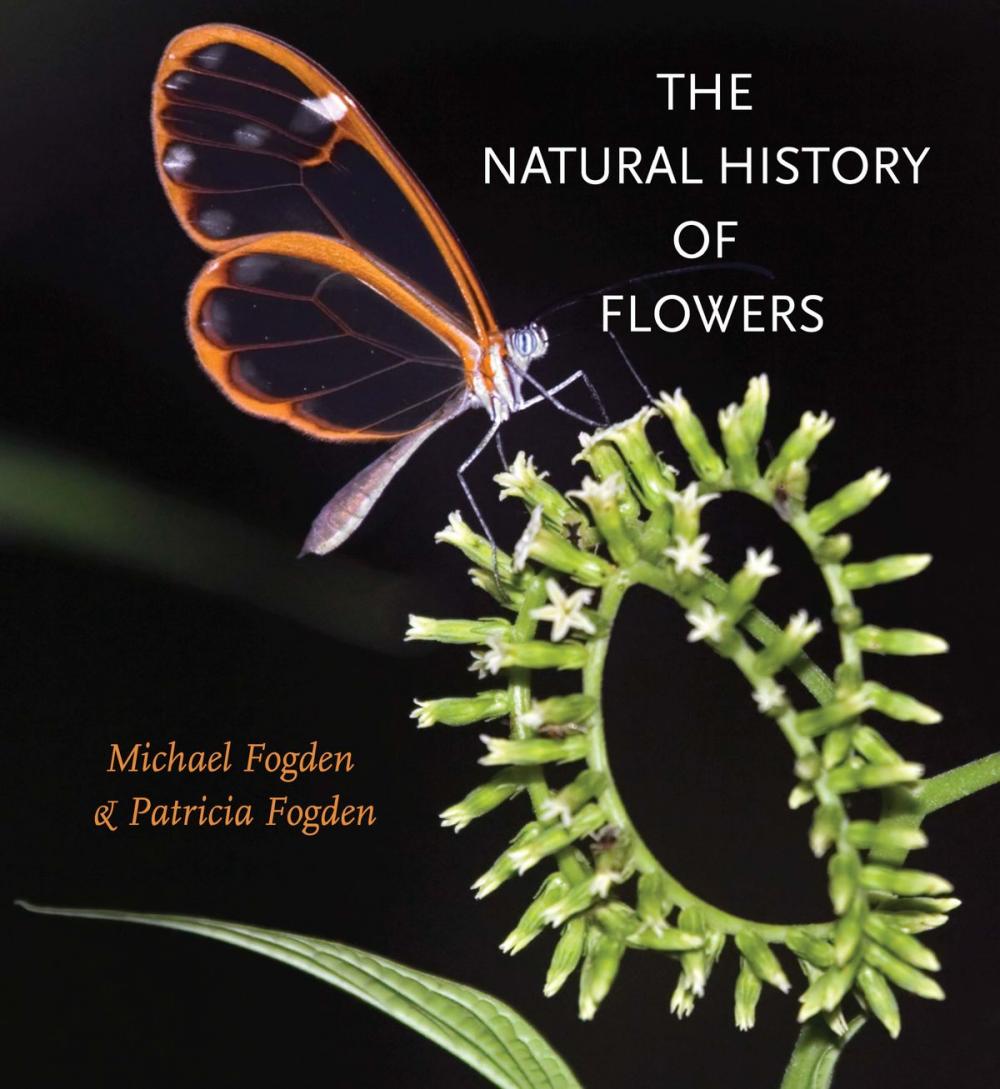 Big bigCover of The Natural History of Flowers