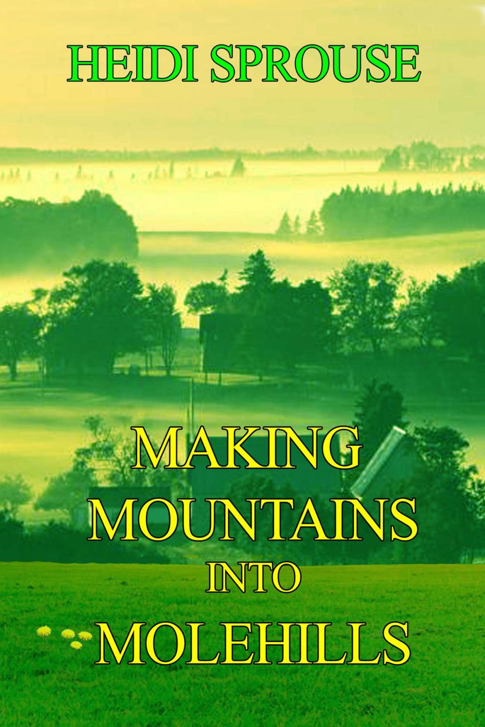 Big bigCover of Making Mountains into Molehills