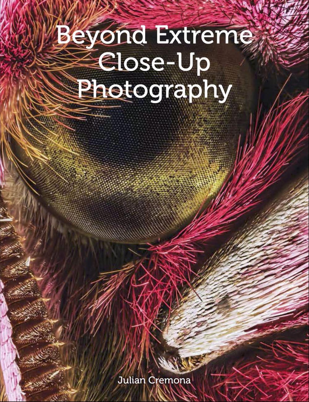 Big bigCover of Beyond Extreme Close-Up Photography