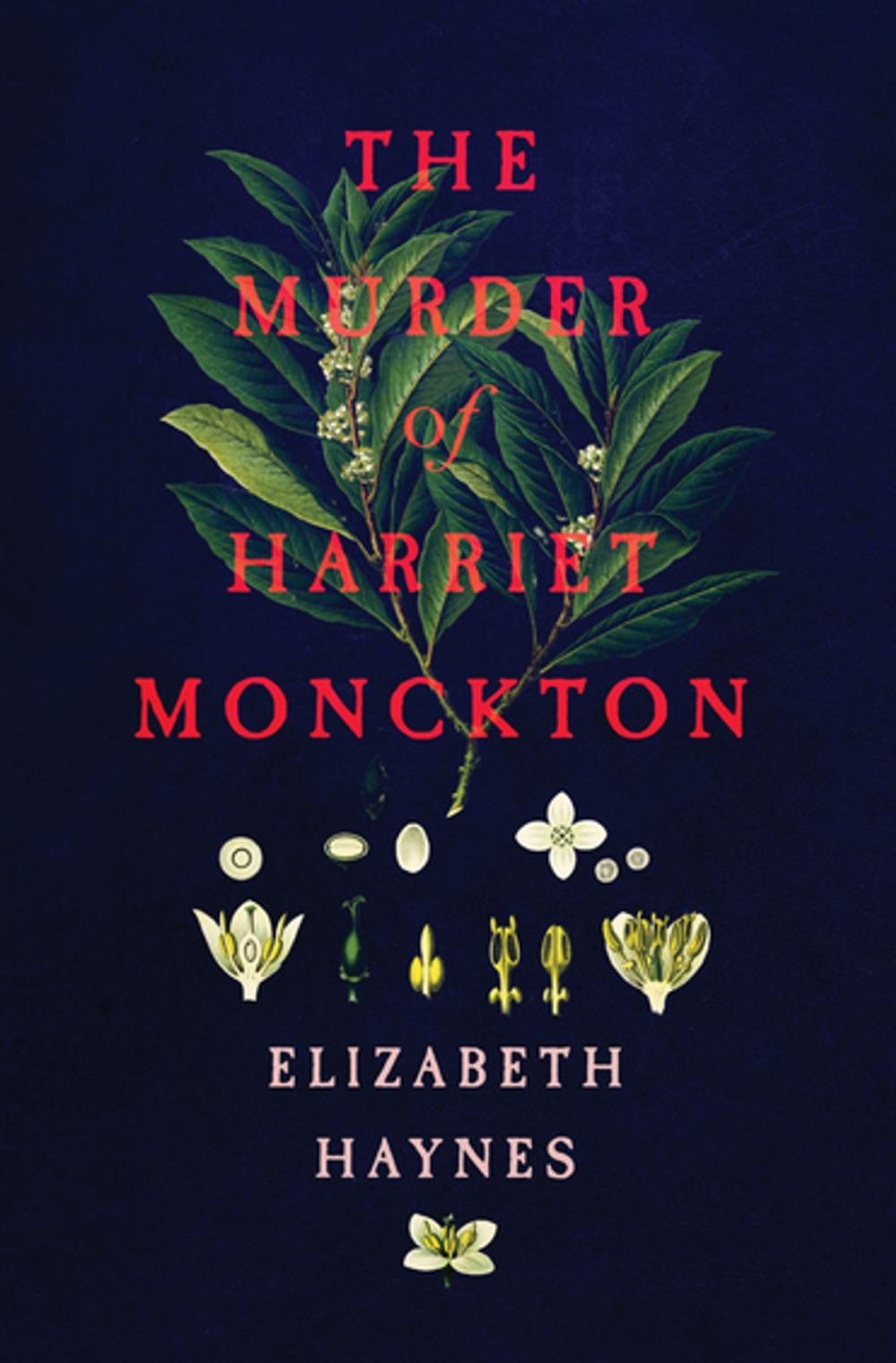 Big bigCover of The Murder of Harriet Monckton