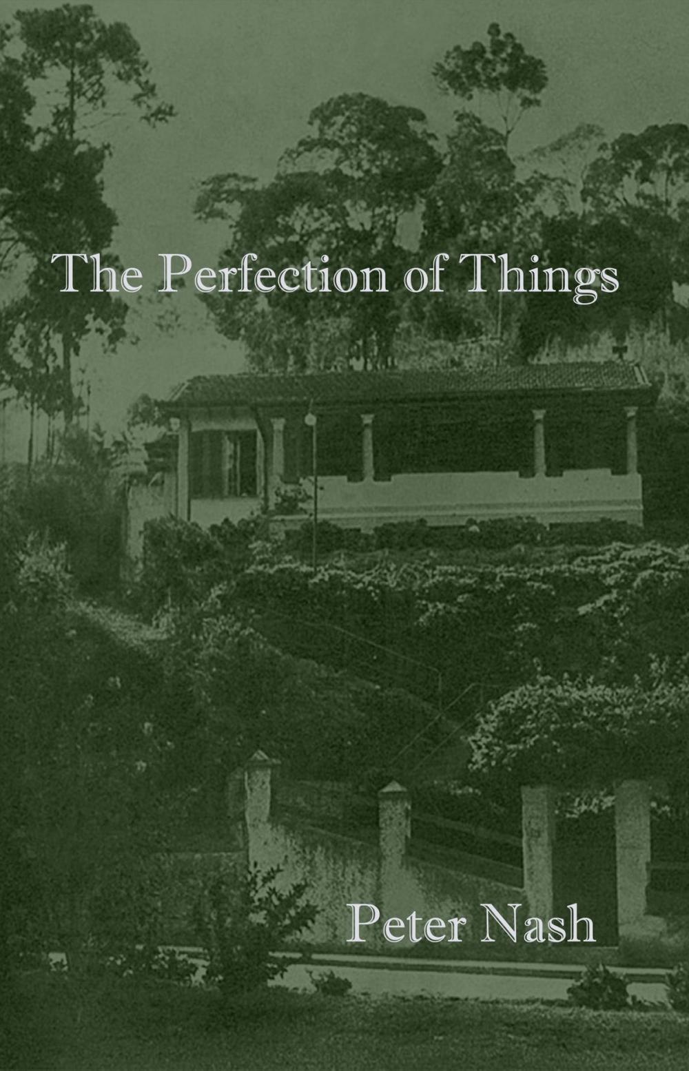 Big bigCover of The Perfection of Things
