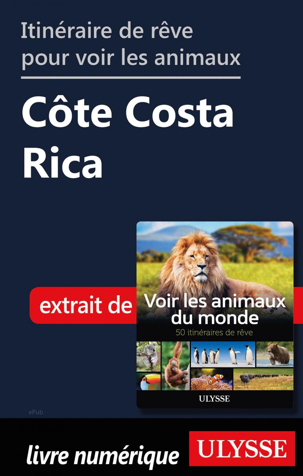 Big bigCover of Itinéraire de rêve pour voir les animaux - Côte Costa Rica