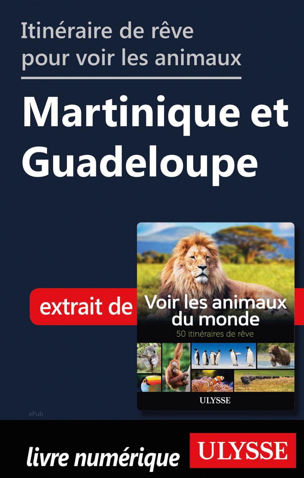 Big bigCover of Itinéraires pour voir les animaux - Martinique et Guadeloupe