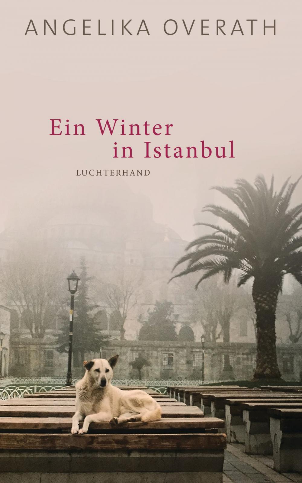 Big bigCover of Ein Winter in Istanbul