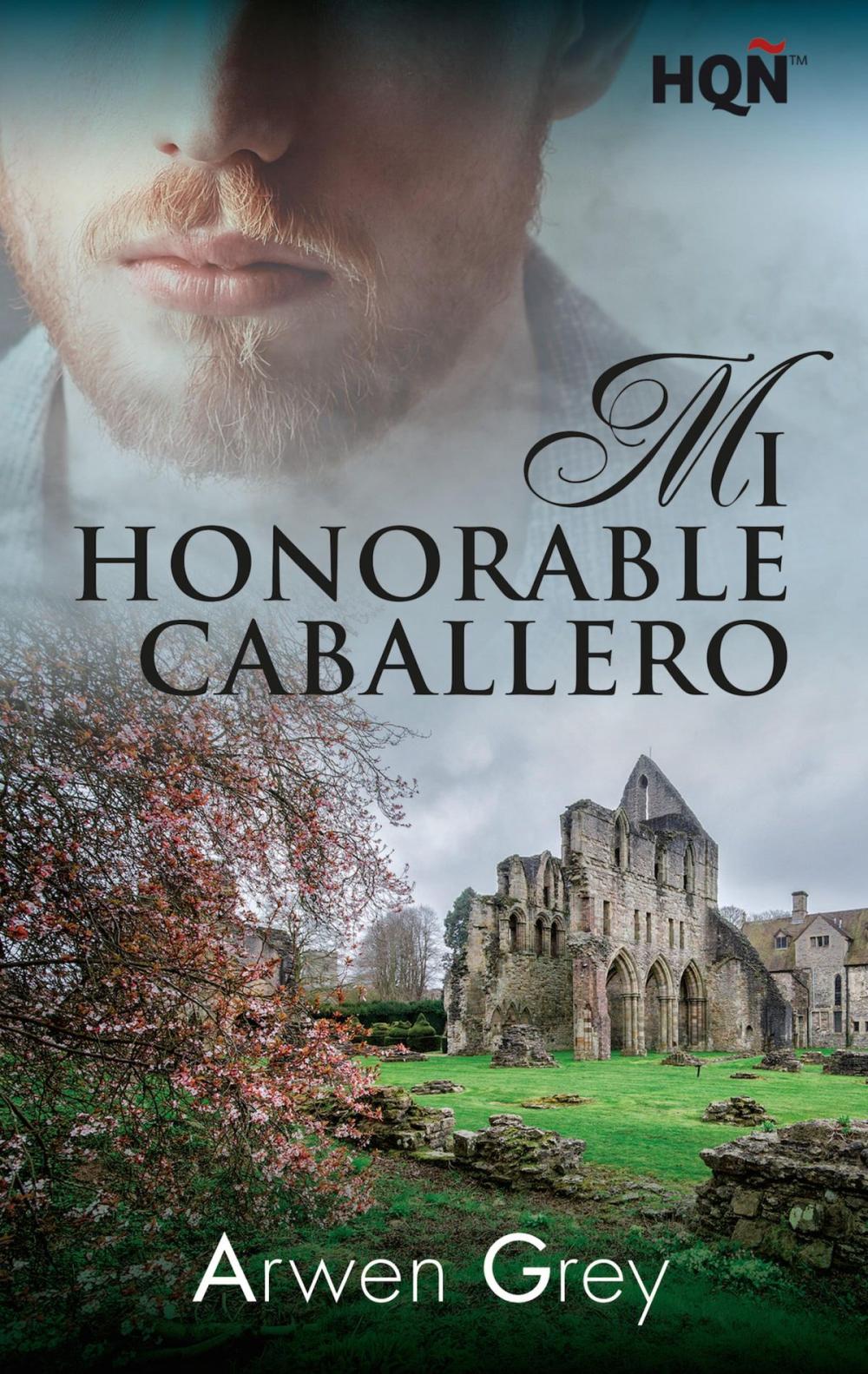 Big bigCover of Mi honorable caballero