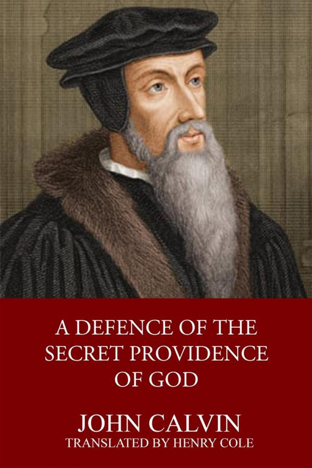 Big bigCover of A Defence of the Secret Providence of God