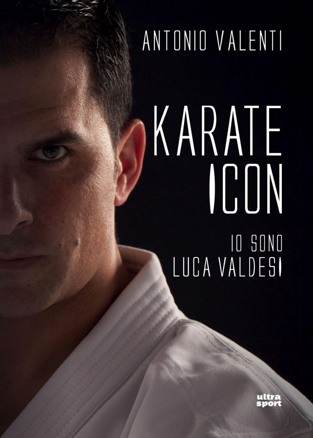 Big bigCover of Karate icon