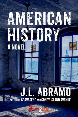Cover of the book American History by Aaron Philip Clark