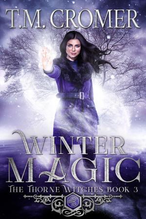 Cover of the book Winter Magic by Meg Collett