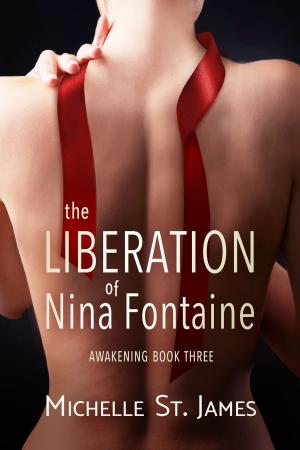 Book cover of The Liberation of Nina Fontaine
