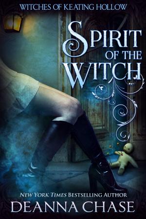 bigCover of the book Spirit of the Witch by 