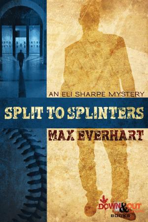 Cover of the book Split to Splinters by Matt Hilton