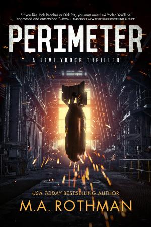 Cover of the book Perimeter by Robert James Bridge