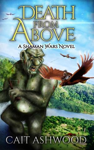 Cover of the book Death from Above by James Sybrant