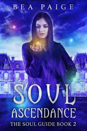 Book cover of Soul Ascendance