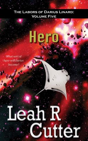 Cover of the book Hero by Blaze Ward