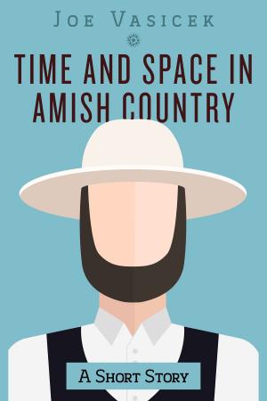 Cover of the book Time and Space in Amish Country by Joe Vasicek