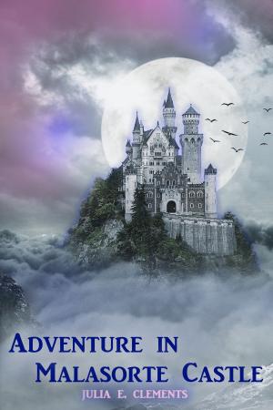 Book cover of Adventure in Malasorte Castle