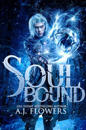 Book cover of Soul Bound