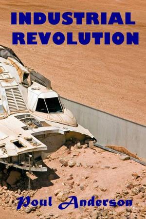Cover of the book Industrial Revolution by Armando Palacio Valdes