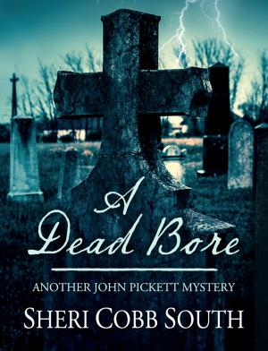 Cover of the book A Dead Bore by M.T. Shivers