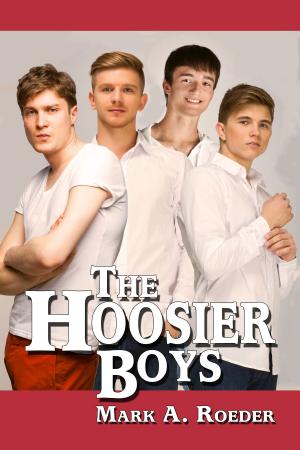 Book cover of Hoosier Boys