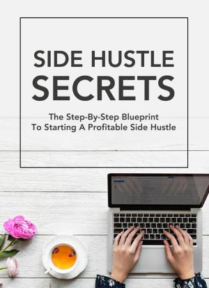 Cover of the book Side Hustle Secrets by Idrees Farooq