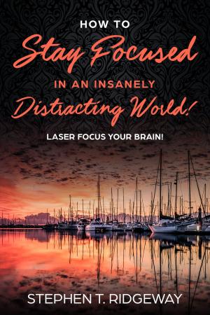 bigCover of the book How To Stay Focused In An Insanely Distracting World! – Learn How To Improve Your Concentration by 