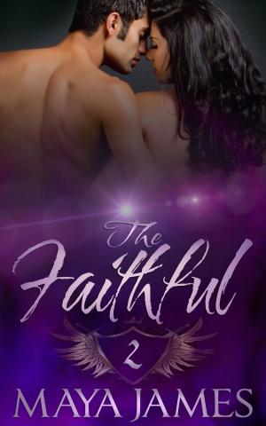 Cover of the book The Faithful by C.A. Tibbitts