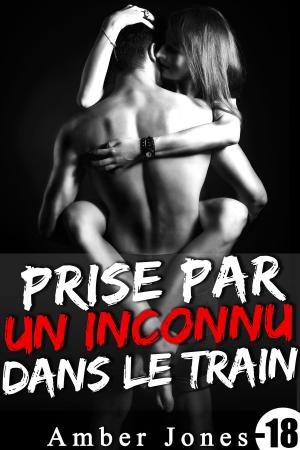 Cover of Prise Par Un Inconnu Dans Le Train (-18)