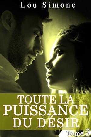 Cover of the book Toute La Puissance Du Désir (Tome 3) by Allison Brennan