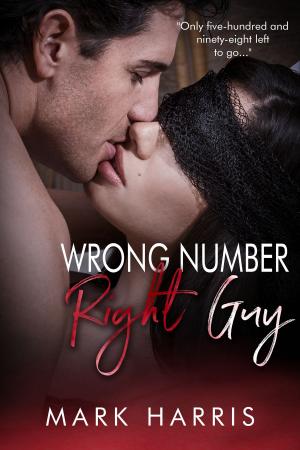Cover of the book Wrong Number Right Guy by Sarah Salari